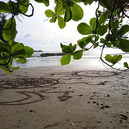 Cabinas Negus Leilighet Uvita Eksteriør bilde